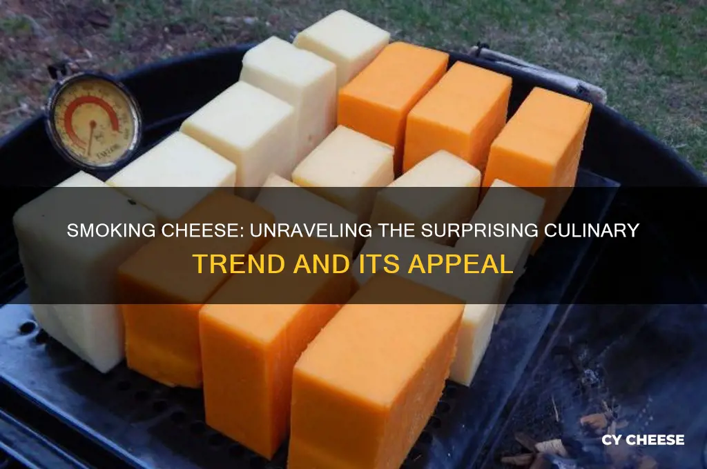 why do people smoke cheese