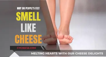 Cheesy Feet: Why Do Feet Stink Like Cheese?