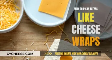 Cheese Wraps: A Picky Eater's Comfort Food