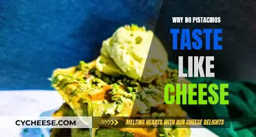 The Science Behind Pistachios' Cheesy Flavor