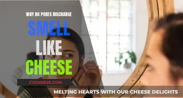 Pores and the Mystery of the Cheesy Odor
