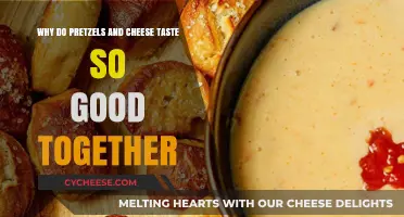Pretzels and Cheese: The Perfect Salty-Savory Flavor Match Explained
