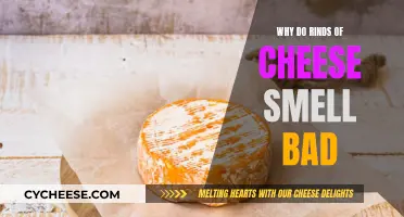 Cheese Rinds: Why Do They Stink So Bad?
