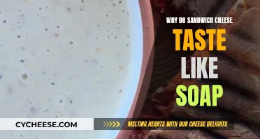 The Mystery of Soapy Sandwich Cheese: Why?