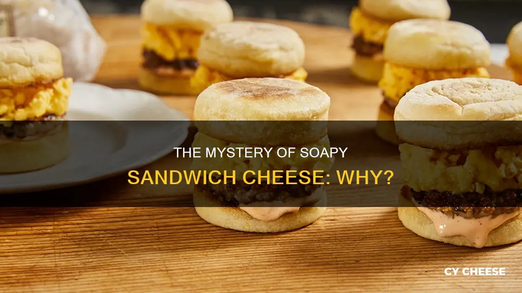 why do sandwich cheese taste like soap