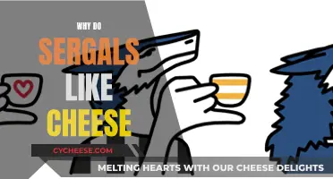 Sergals' Love for Cheese: Unraveling Their Cheesy Obsession