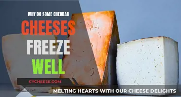 The Cheddar Freezer: Unlocking the Secret to Perfectly Frozen Cheese