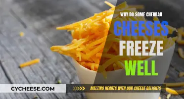 Cheddar Cheese Freezing: Why Some Varieties Withstand Freezing Well