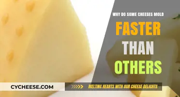 Factors Influencing Cheese Mold Growth: Understanding Varied Aging Rates