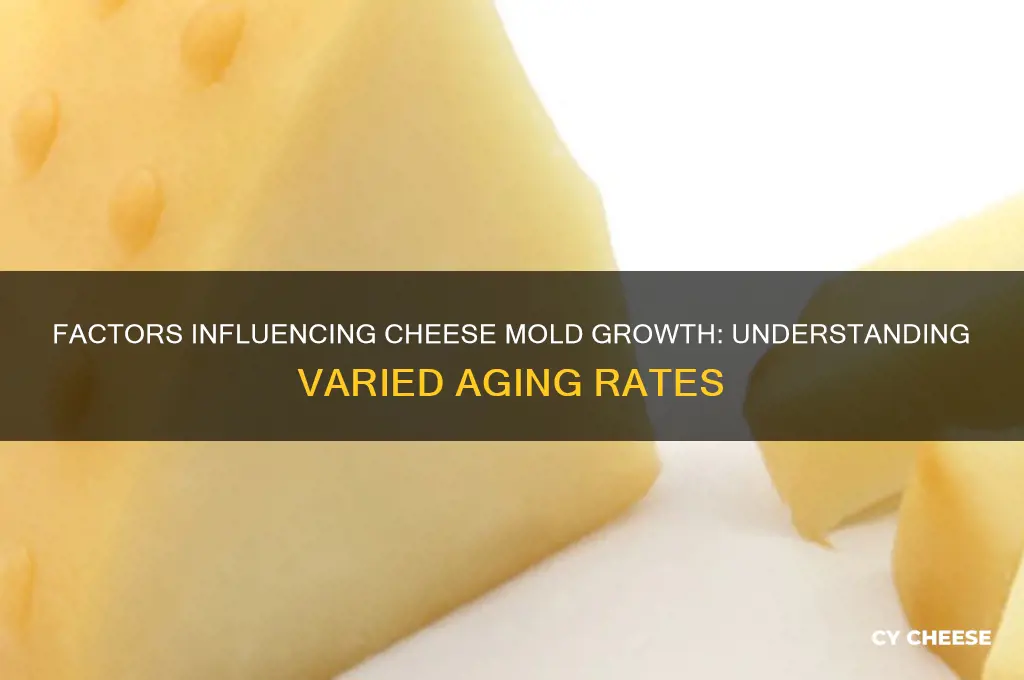 why do some cheeses mold faster than others
