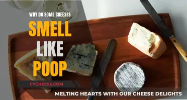 Unraveling the Mystery of Stinky Cheeses