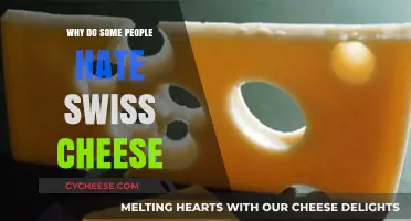 Swiss Cheese: Why the Hate?