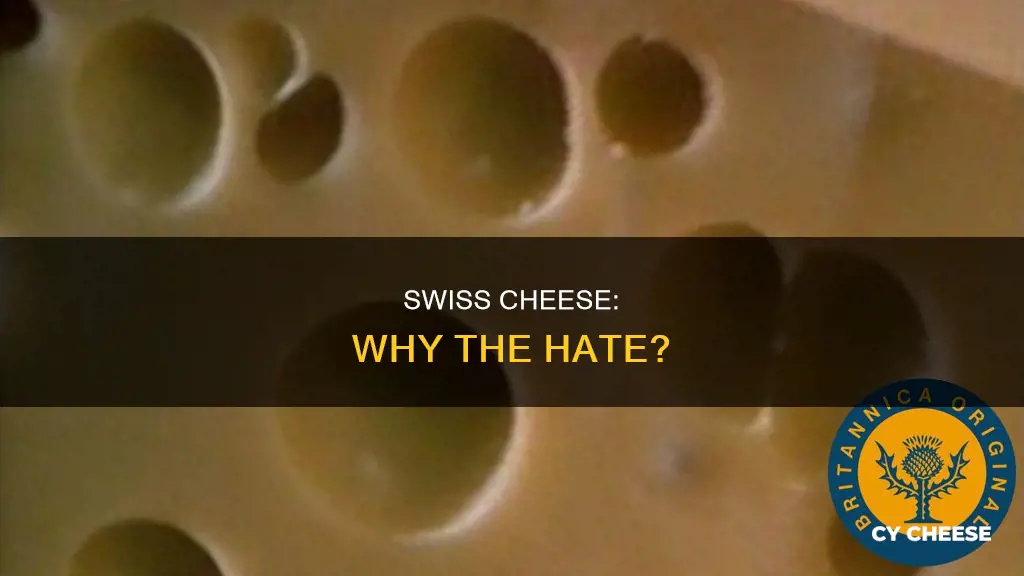 why do some people hate swiss cheese