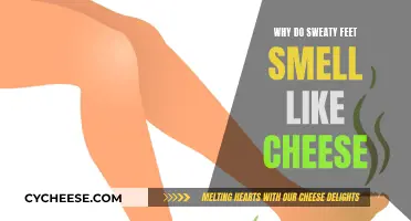 The Science Behind Stinky Feet: Why Do They Smell Cheesy?