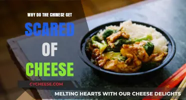 Chinese Fear of Cheese: A Cultural Curiosity