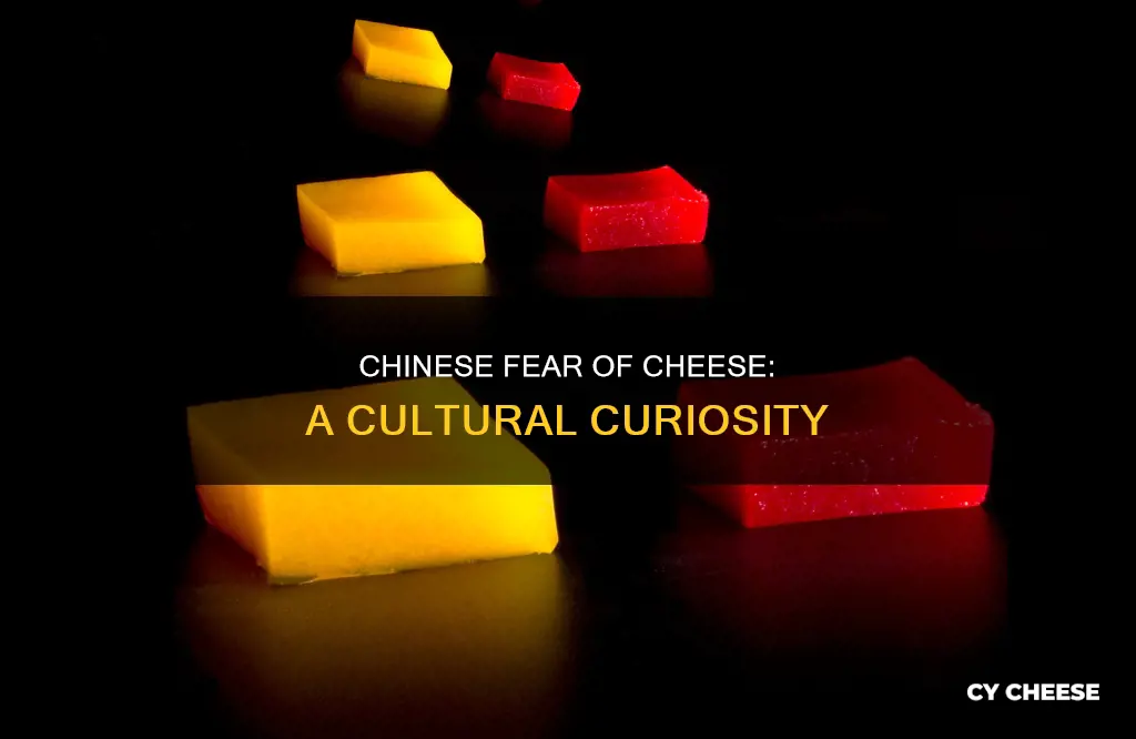 why do the chinese get scared of cheese