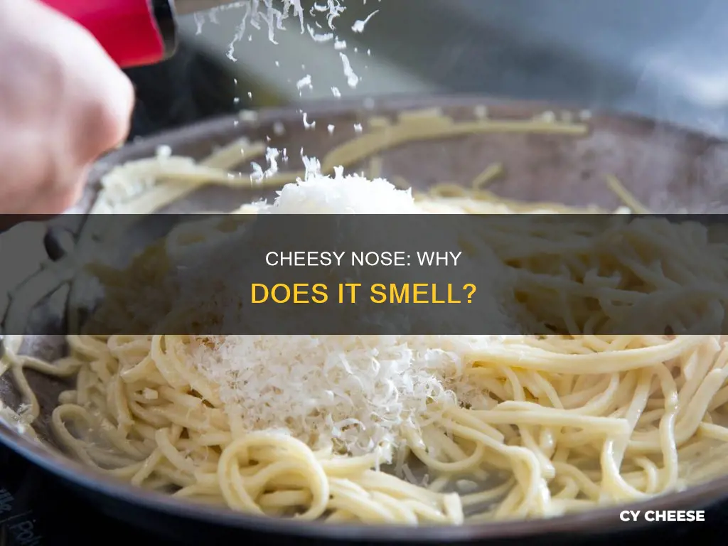 why do the sides of my nose smell like cheese