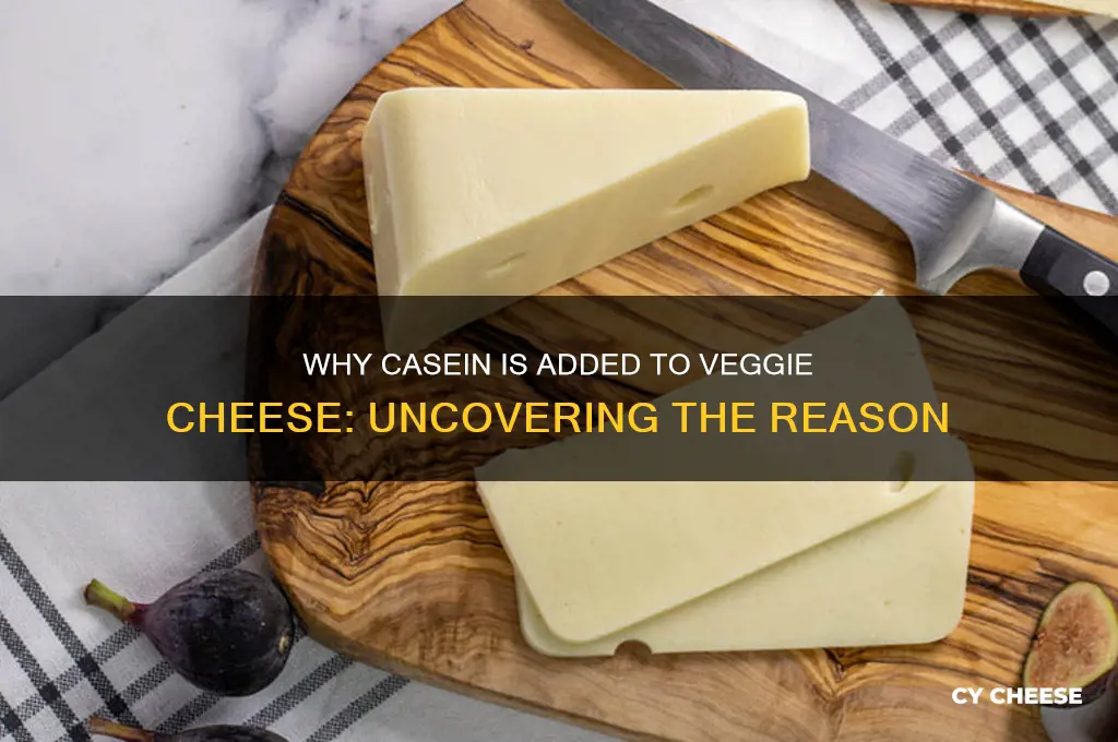 why do they add casein to veggie cheese