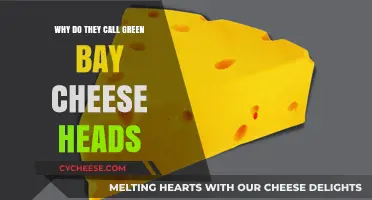 Why Green Bay Fans Proudly Wear the 'Cheeseheads' Label