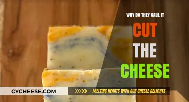 Why 'Cut the Cheese' Means Passing Gas: Unraveling the Idiom
