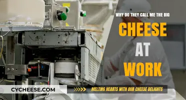 Why I'm Called the Big Cheese: Unpacking My Workplace Nickname