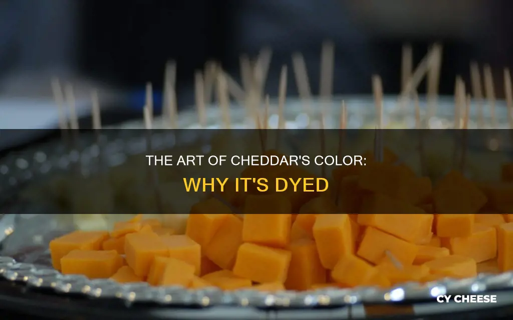 why do they dye cheddar cheese