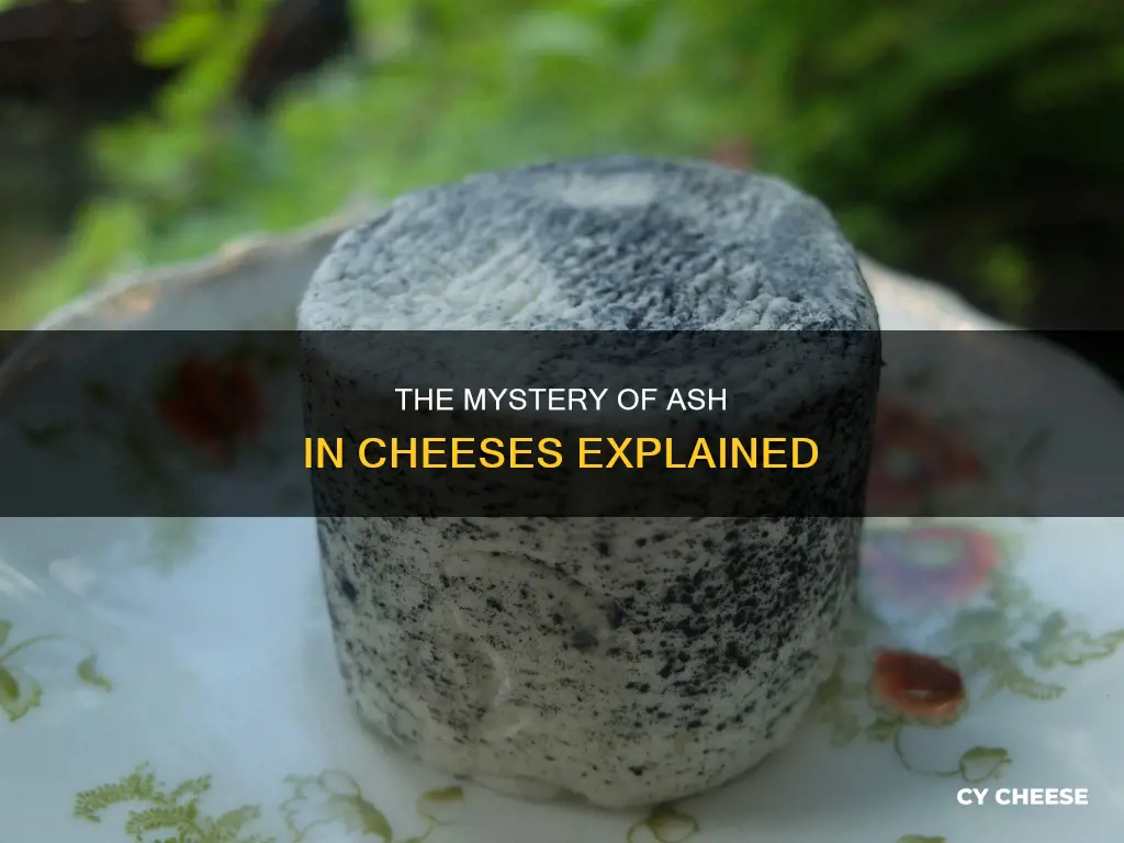 why do they put ash in cheese