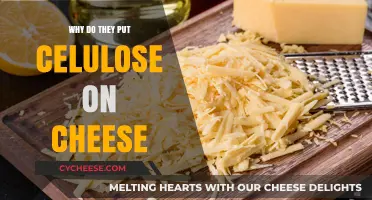The Mystery of Cellulose in Cheese Unveiled