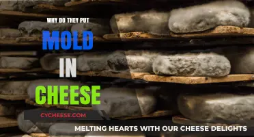 Moldy Cheese: The Science Behind the Art