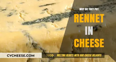 Rennet's Role in Cheese: A Historical Perspective