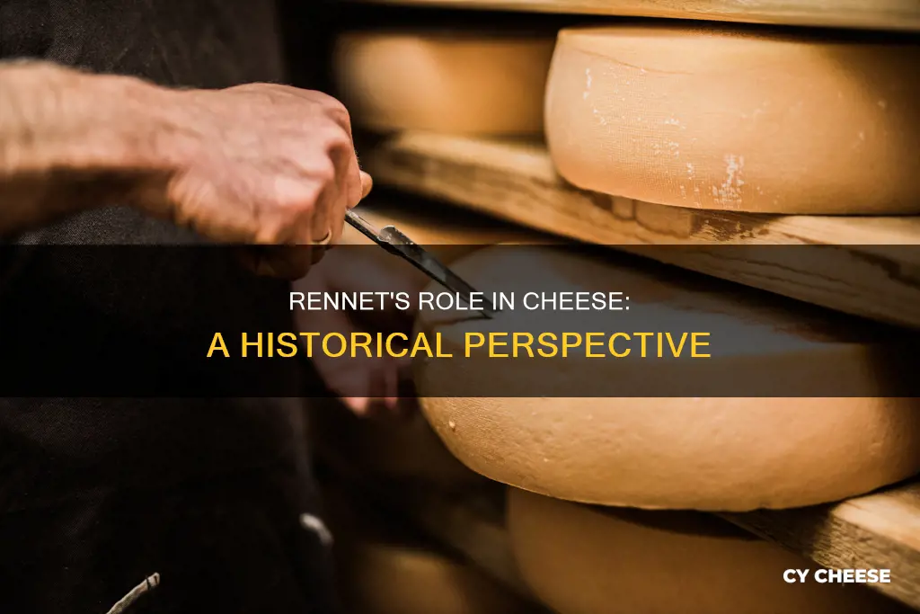 why do they put rennet in cheese