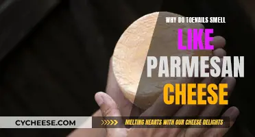 The Parmesan Toenail Mystery: A Cheesy Odor Explained