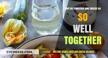 Tomatoes and Cheese: The Perfect Pairing Explained
