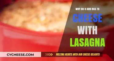 Enhancing Lasagna: The Role of Ricotta Cheese in Flavor and Texture