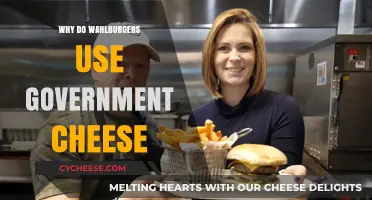 The Wahlburgers' Secret: Government Cheese