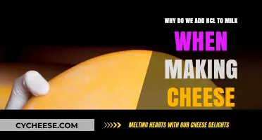 The Role of HCl in Cheese Making: Why Add Acid to Milk?