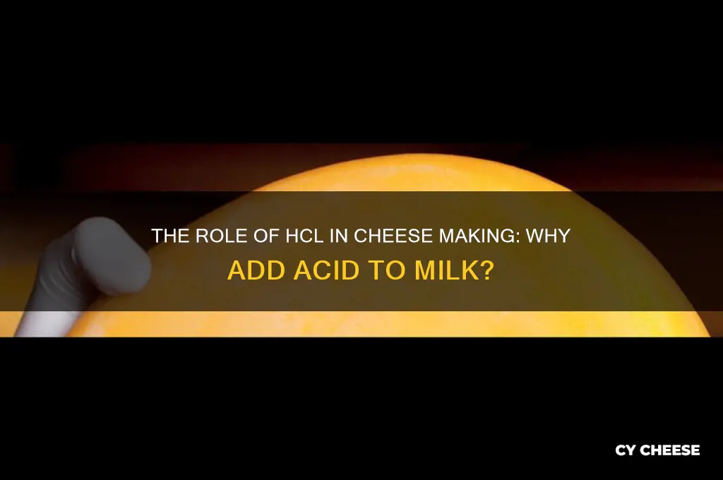why do we add hcl to milk when making cheese