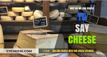 Why We Say 'Cheese': The Surprising History Behind the Smile