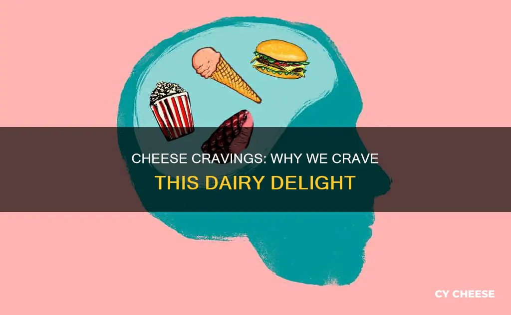 why do we get cravings of cheese