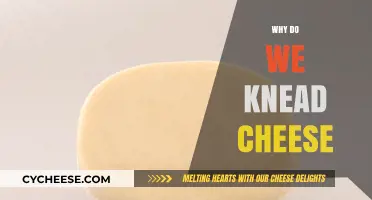 Kneading Cheese: The Essential Technique for Texture and Flavor Mastery