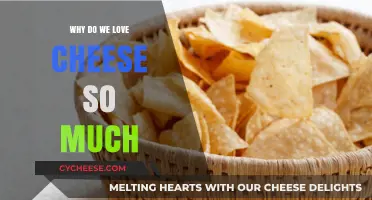 The Irresistible Allure: Why Cheese Captivates Our Taste Buds