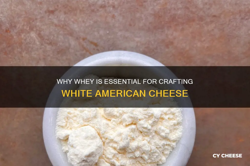 why do we need whey for white american cheese