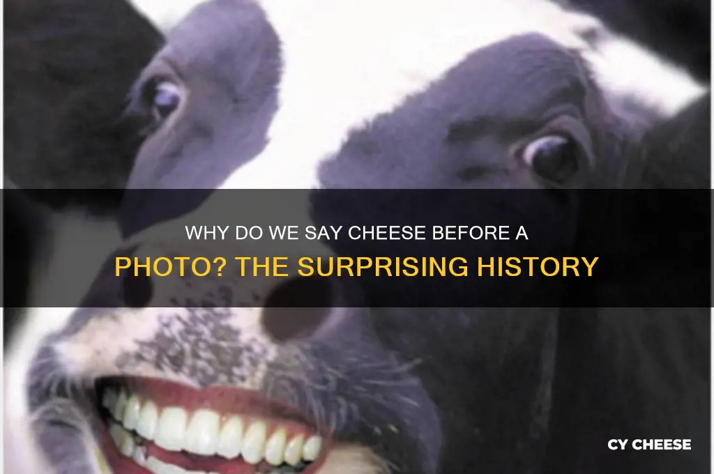 why do we say cheese before a photo