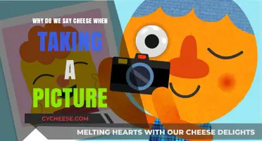 Why Do We Say Cheese When Taking a Picture?
