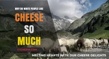 Why White People Love Cheese: Exploring the Cultural Fascination