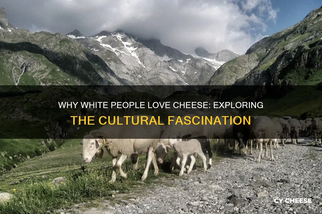 why do white people like cheese so much