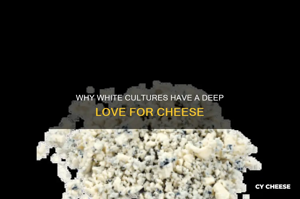 why do white people love cheese so mu