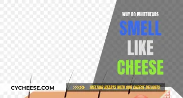 Whiteheads' Cheesy Odor: The Science Behind It