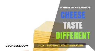 Why Yellow and White American Cheese Taste Different: Unraveling the Mystery