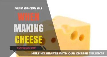 Acidifying Milk: The Secret Step to Perfect Cheese Making